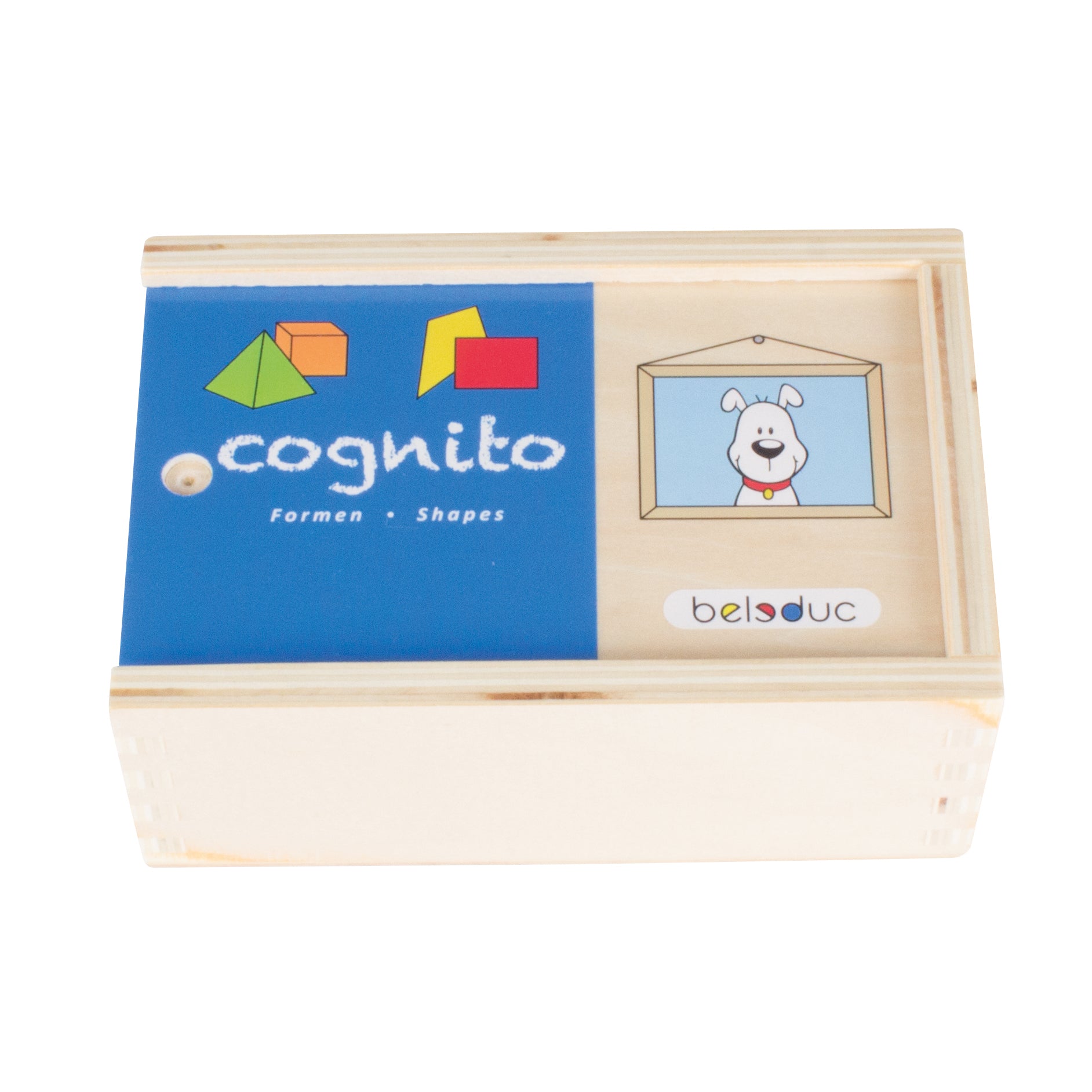 Cognito Matching Puzzle - Shapes