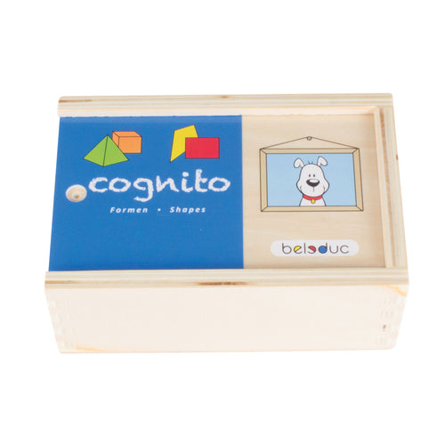 Cognito Matching Puzzle - Shapes