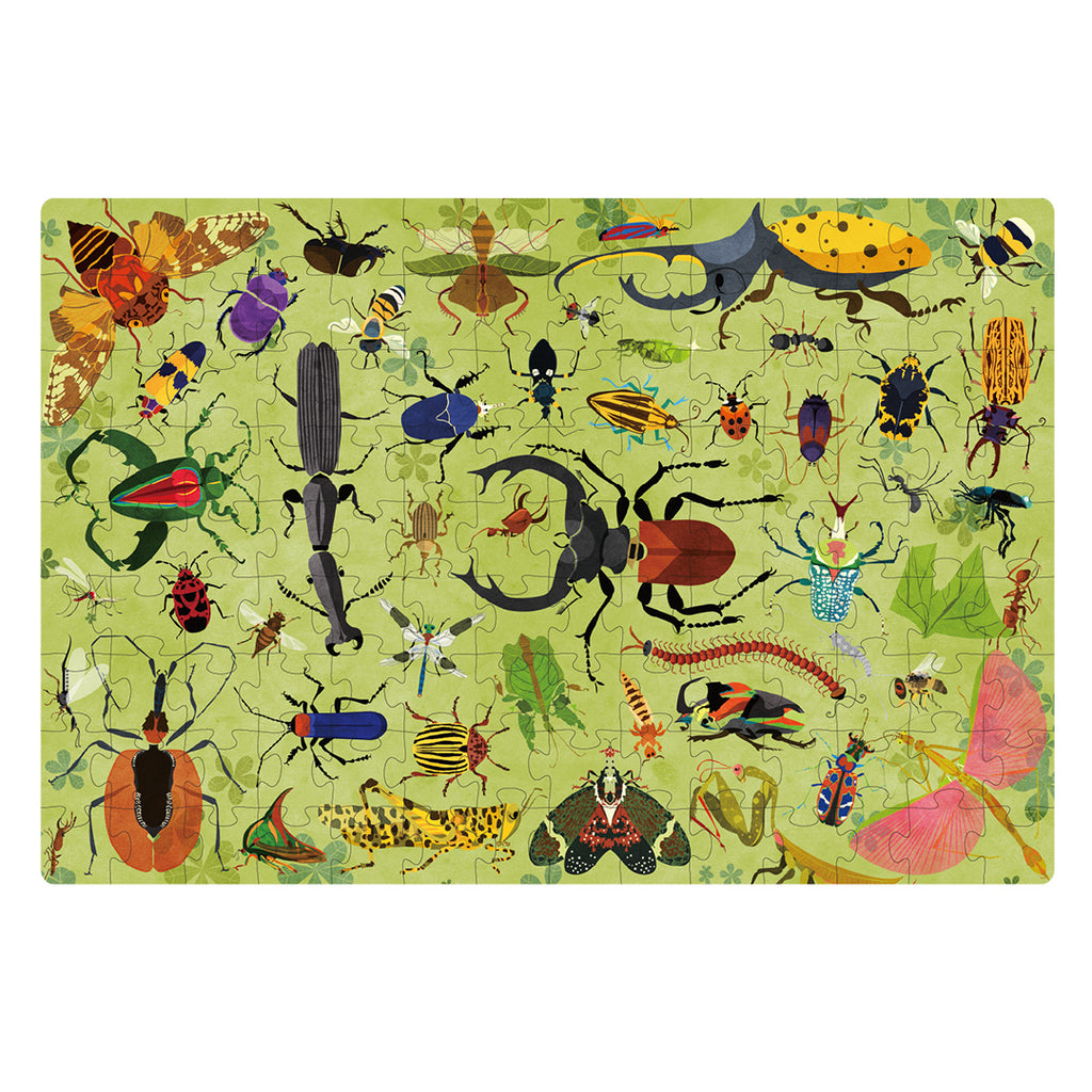 CT4301 image 2