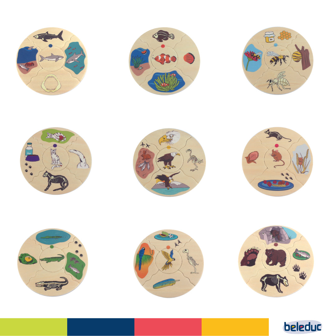 Nawito Matching Puzzle - Animals - Image 3