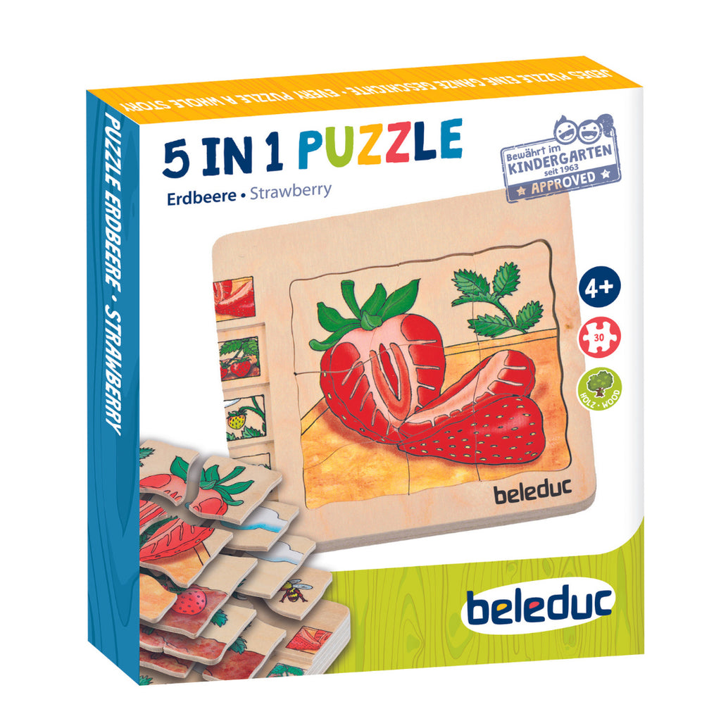 5 in 1 Layer Puzzle - Strawberry