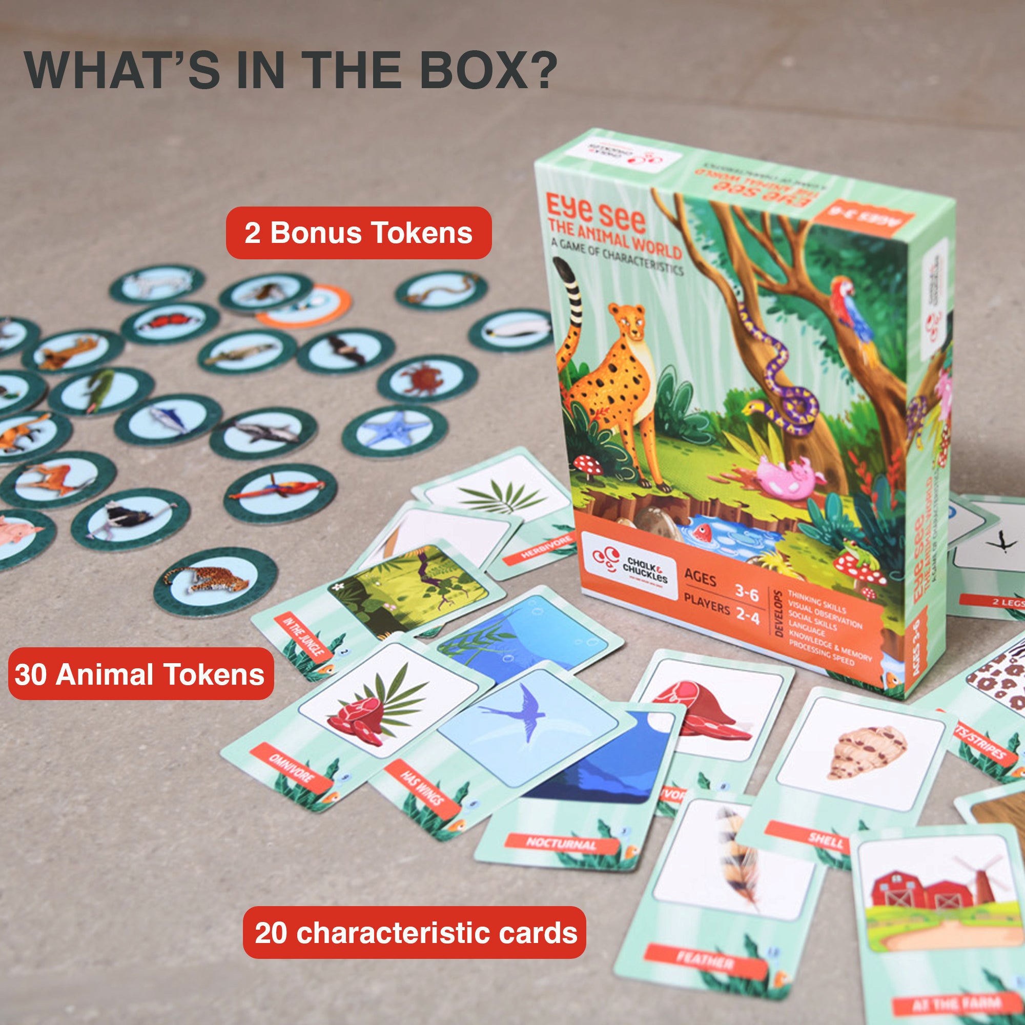 Chalk & Chuckles Eye See-The Animal World - Card Game (Ages 3 to 6) - Image 5