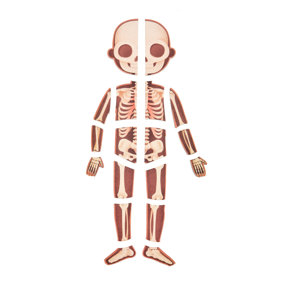 CT7013 image 7