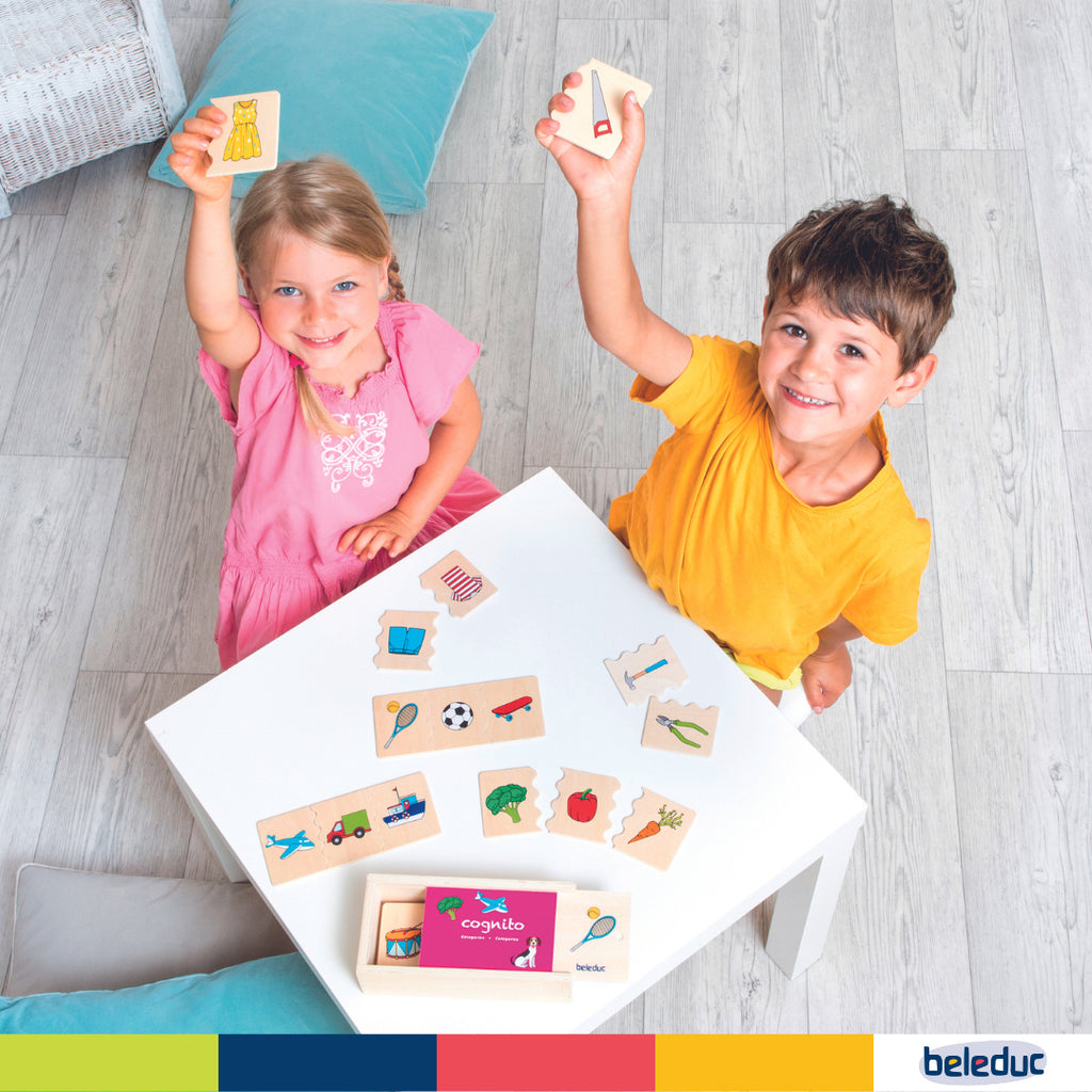 Cognito Matching Puzzle - Categories - Image 6