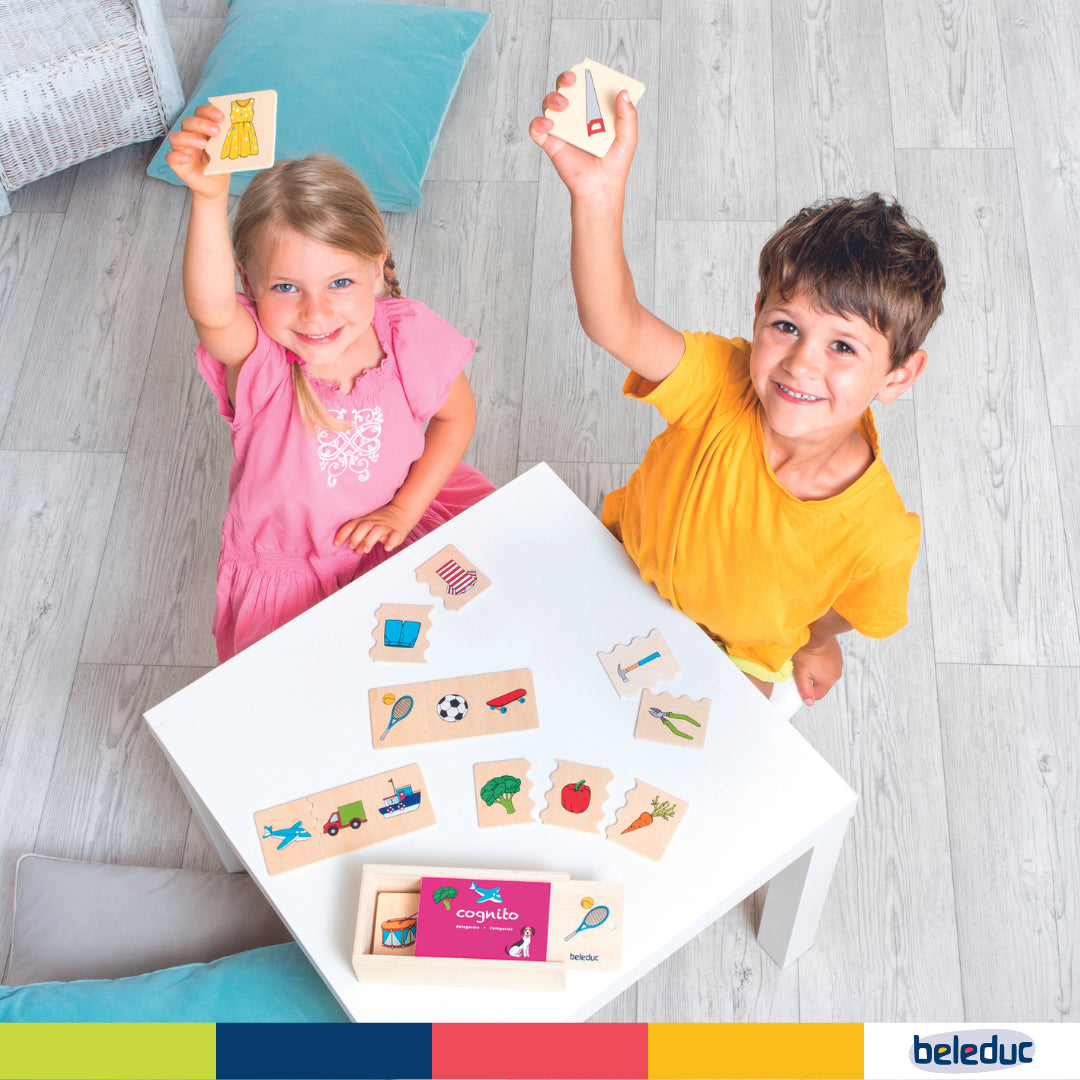 Cognito Matching Puzzle - Categories - Image 6