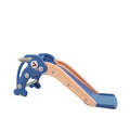 Lovely Baby Dolphin Slide - Blue