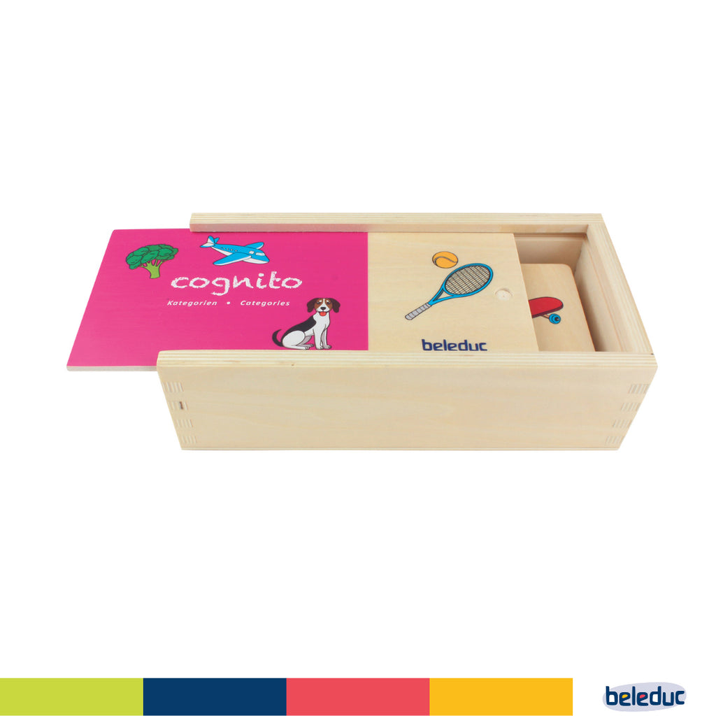 Cognito Matching Puzzle - Categories - Image 2