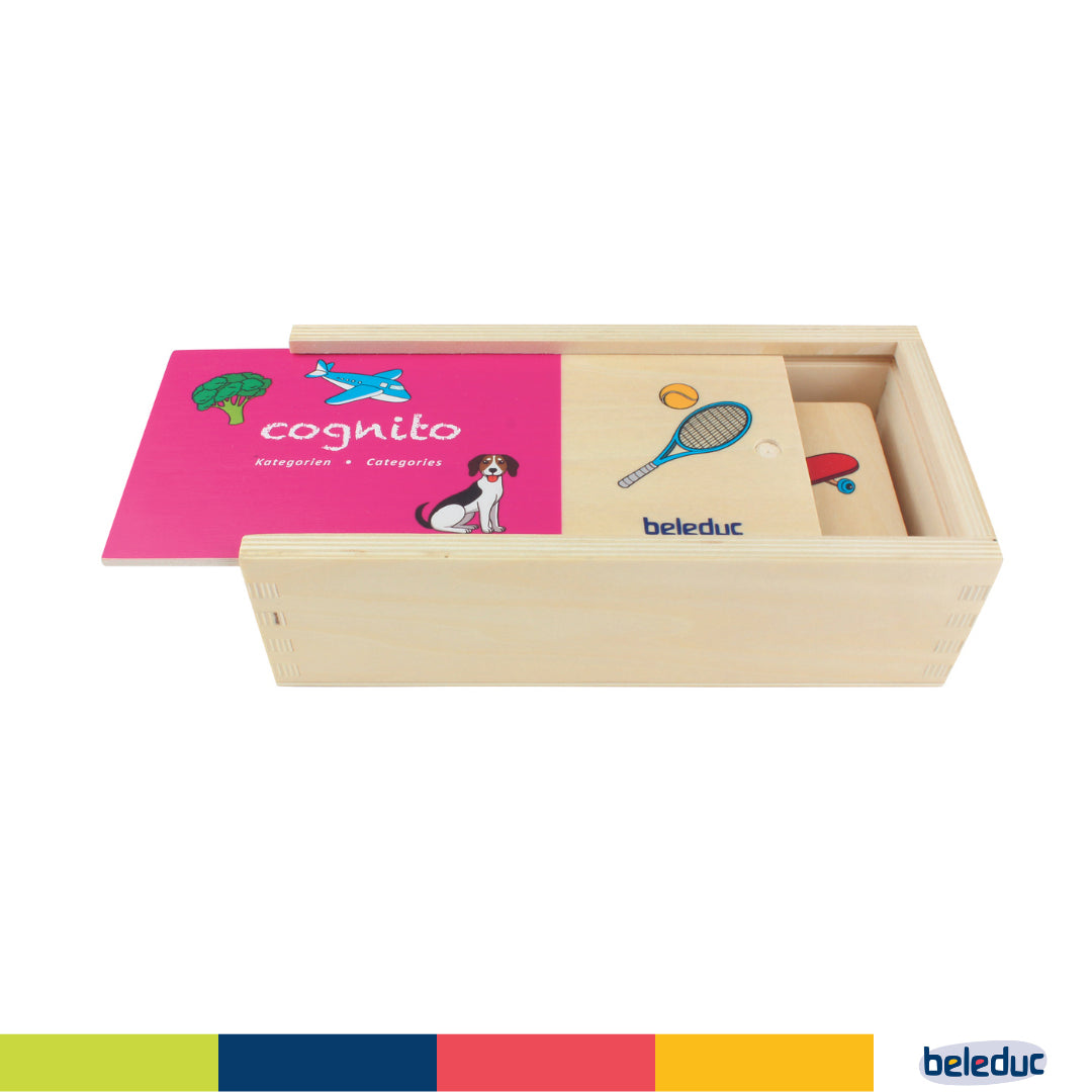 Cognito Matching Puzzle - Categories - Image 2