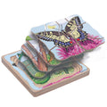5 in 1 Layer Puzzle - Butterfly