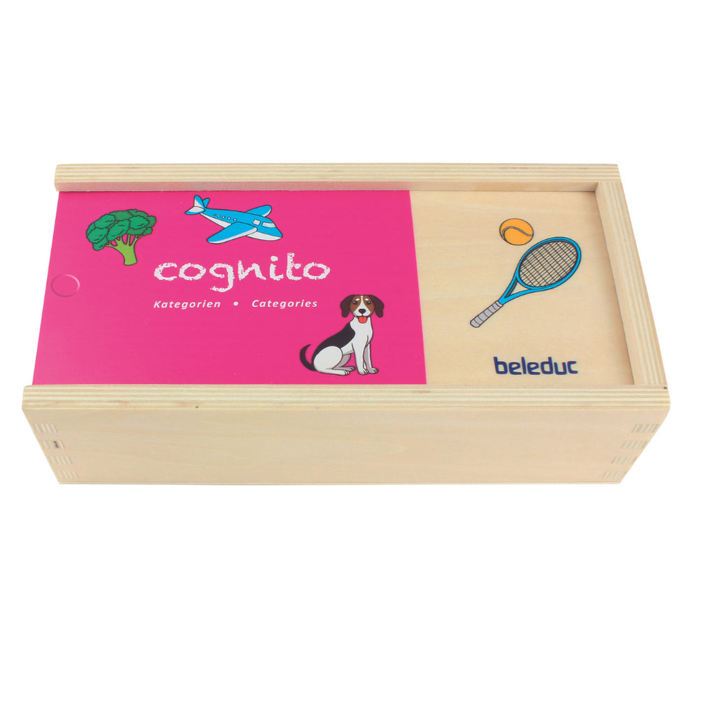 Cognito Matching Puzzle - Categories