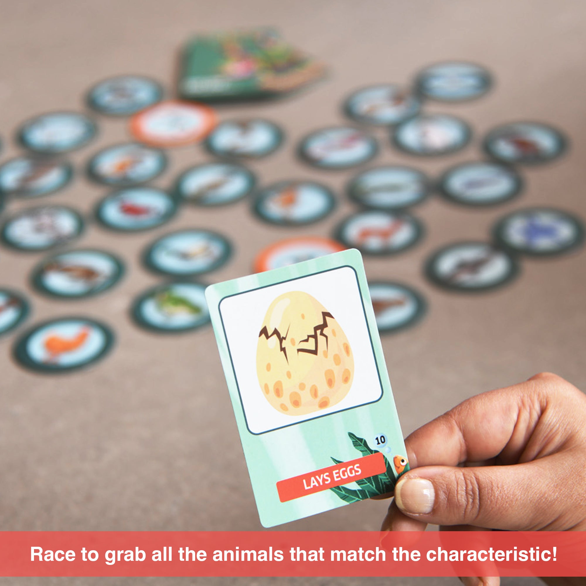 Chalk & Chuckles Eye See-The Animal World - Card Game (Ages 3 to 6) - Image 6